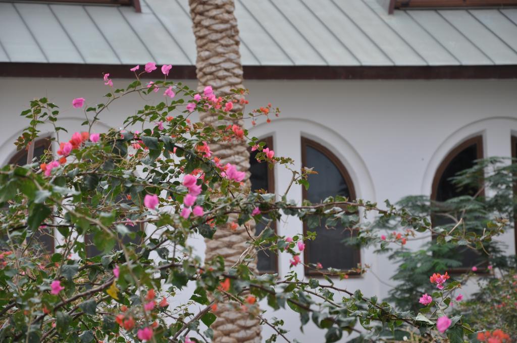 Russian Pilgrim Residence Sweimeh المظهر الخارجي الصورة
